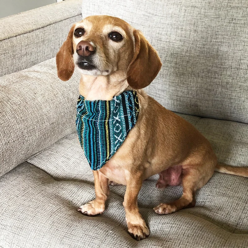 Dog Bandana Small - Peacock Blue Woven