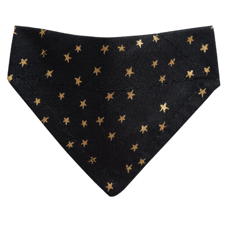 The Comet - Cat / Small Dog Bandana