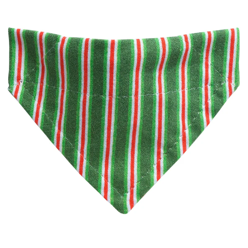 The Dasher - Cat / Small Dog Bandana