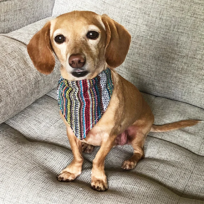 Dog Bandana Small - Bohemian Multi-color Woven