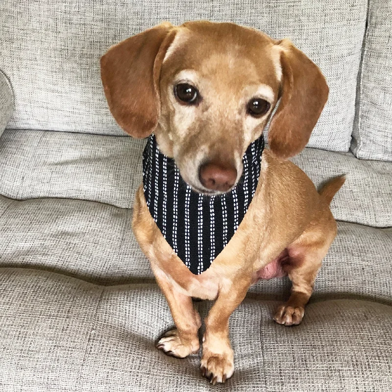 Dog Bandana Small - Pinstripe Woven