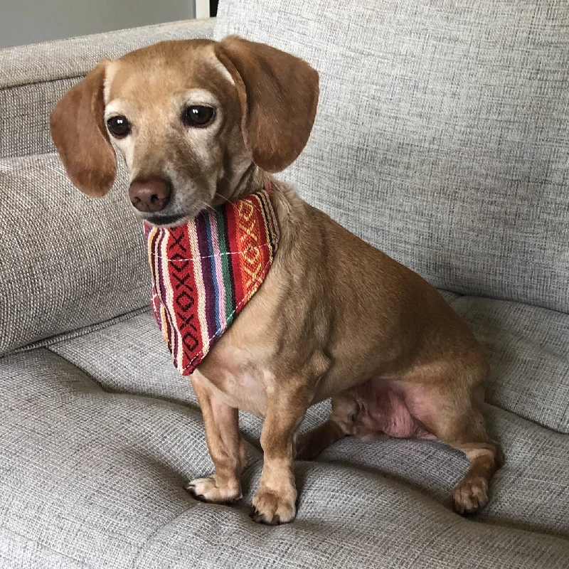 Dog Bandana Small - Salsa Woven