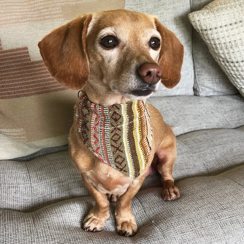 Dog Bandana Small - Moab Woven