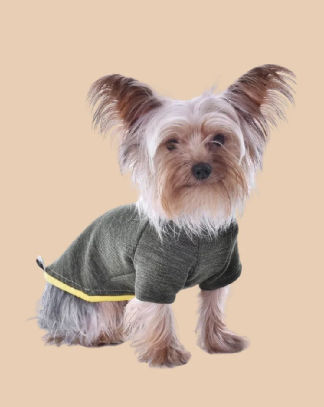 Knit Dog Sweater in Khaki Green w/ Yellow Trim (Made in Spain) (FINAL SALE)